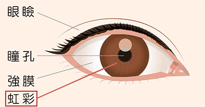 10.png/image-size:400×210